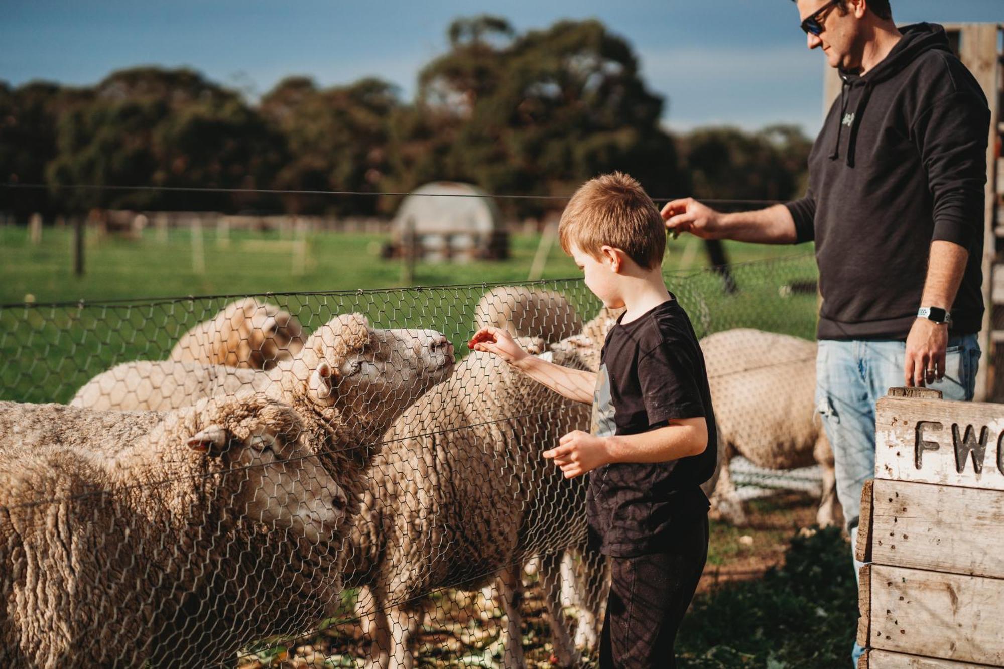 Freshwater Creek Cottages & Farm Stay Torquay Dış mekan fotoğraf