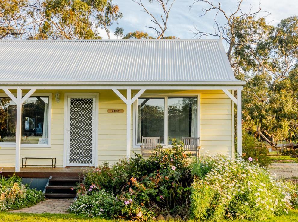 Freshwater Creek Cottages & Farm Stay Torquay Dış mekan fotoğraf