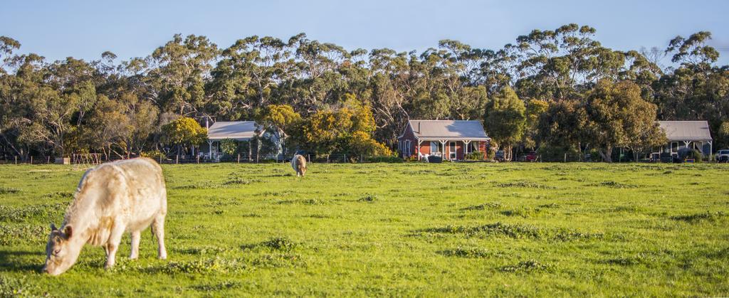 Freshwater Creek Cottages & Farm Stay Torquay Dış mekan fotoğraf